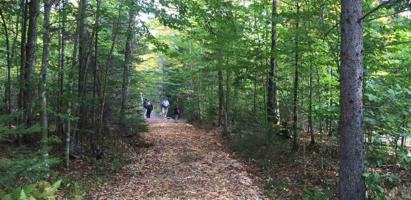 People hiking down a trail in the woods at Heaven Hills Farms