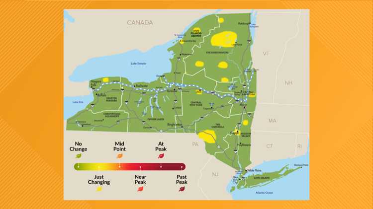Chart showing areas on a map of leaves that are categorized as 