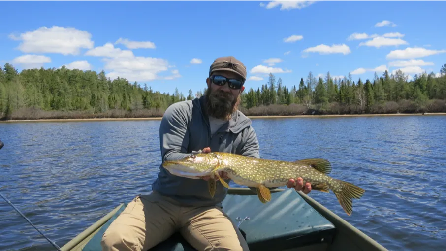 A bearded man holding a northern pike fish sitting in a boat on a lake