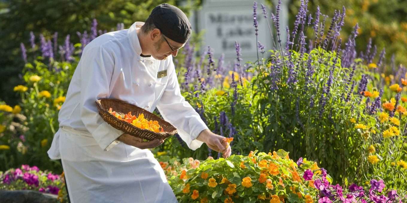 Chef in garden collecting flowers