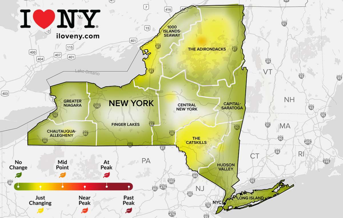 State foliage map