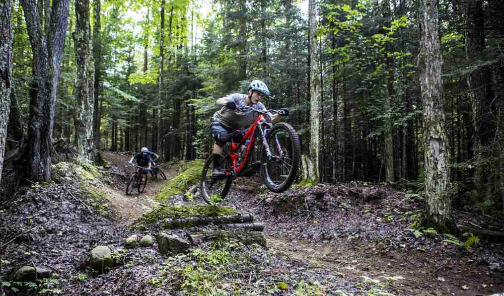 Riders mountain biking in the woods