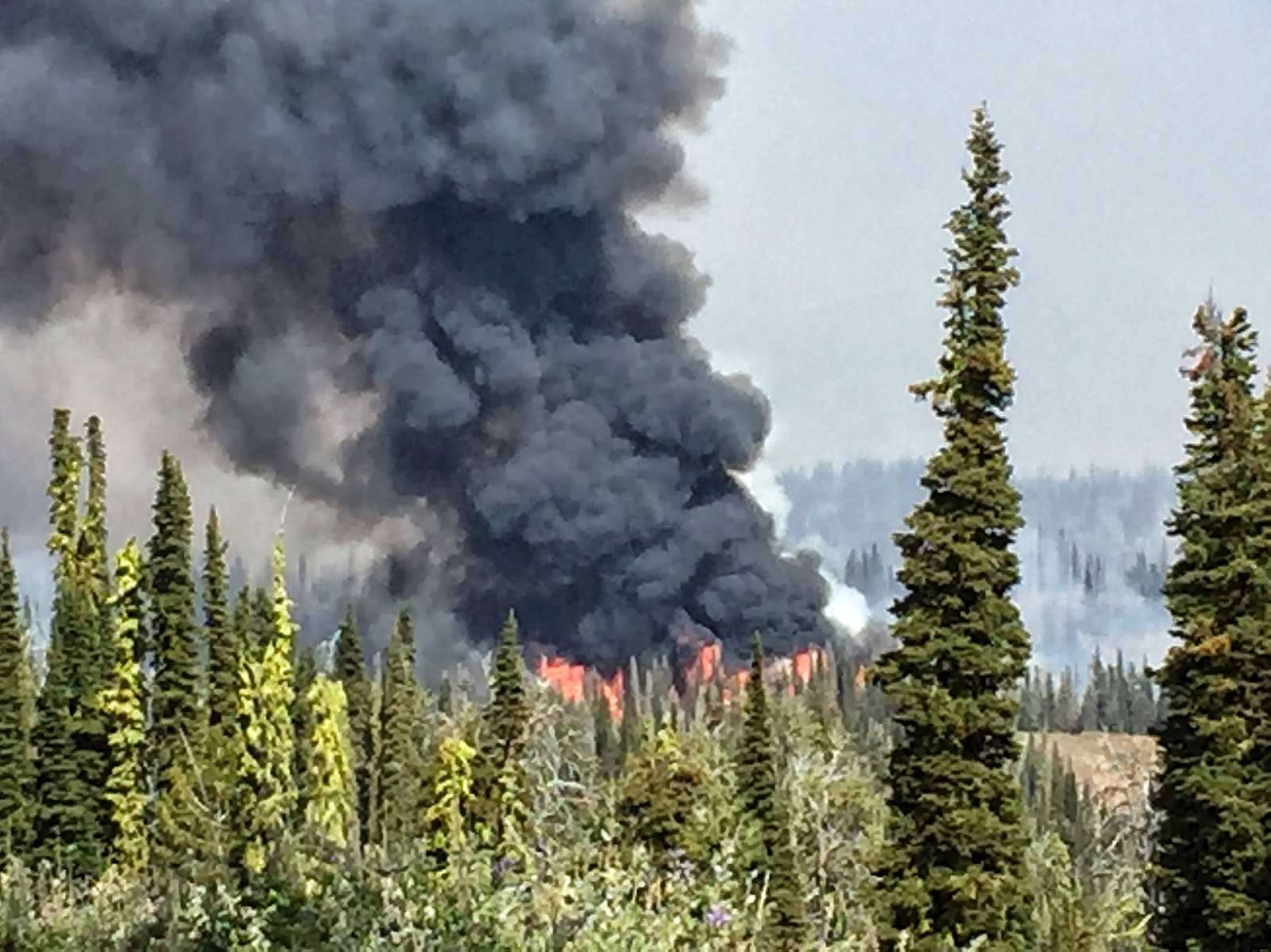Western wildfires