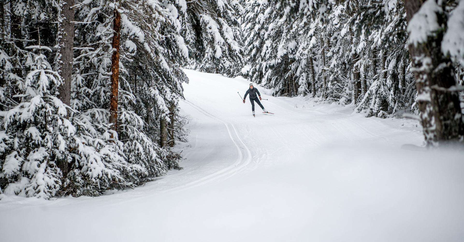Cross country skiing in the woods
